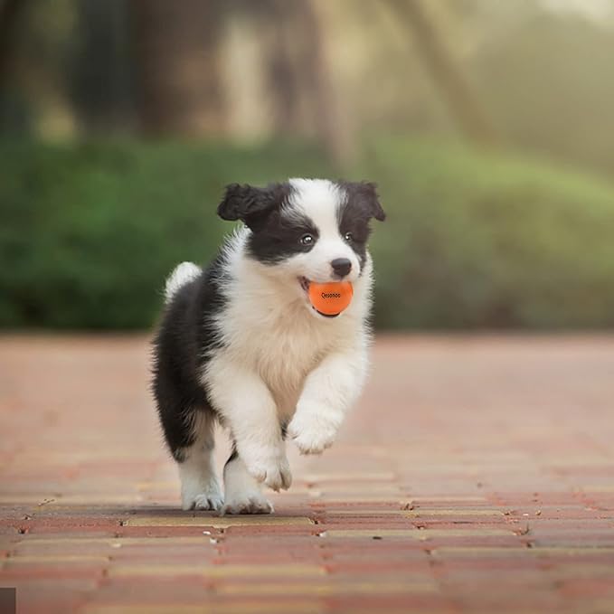 Dog Balls Indestructible,Solid Rubber Bouncy for Dogs Aggressive Chewers Small Breed,Non-Toxic&Floating&High Elasticity,Durable Fetch Ball Small to Chew,Play and Training, Orange, 2 In(5cm)