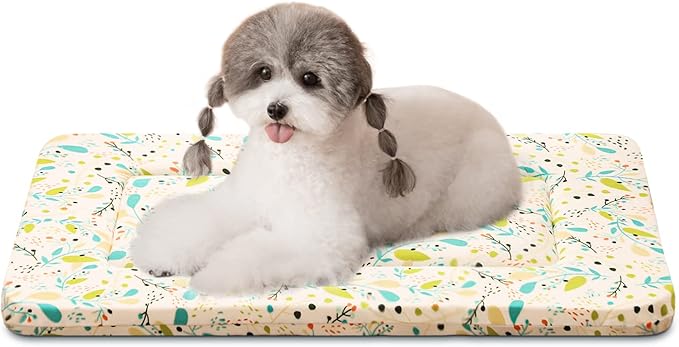 Magic Dog Super Soft Random Color Small Dog Bed, 24-Inch x 16-Inch x 1.2-Inch, Machine Washable, Ideal for Small Dogs and Cats, Pancake Style Mat, Cotton Material, Sewn Construction