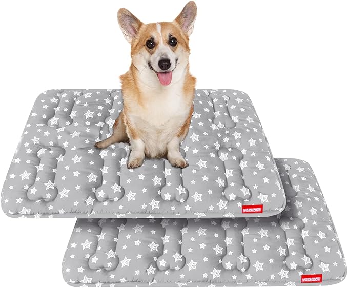 Dog Crate Mat (30" X 19") 2 Pack, Soft Dog Bed Mat with Cute Prints, Personalized Crate Pad, Anti-Slip Bottom, Machine Washable Kennel Pad, Grey