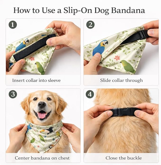 Luxury Satin Dog Bandana – Slip-On Collar Style, Premium Pet Scarf for Medium, Large & XL Dogs – Special Occasion Accessory (Collar Not Included) (Medium - Extra Large, Toucan (G) Luxe - Satin)