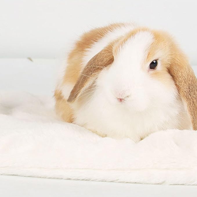 Small Animal Bed Mat Pet Cushion Cage Accessories Toy for Rabbits Hamster Plush Bedding for Chipmunks Winter Use Plush