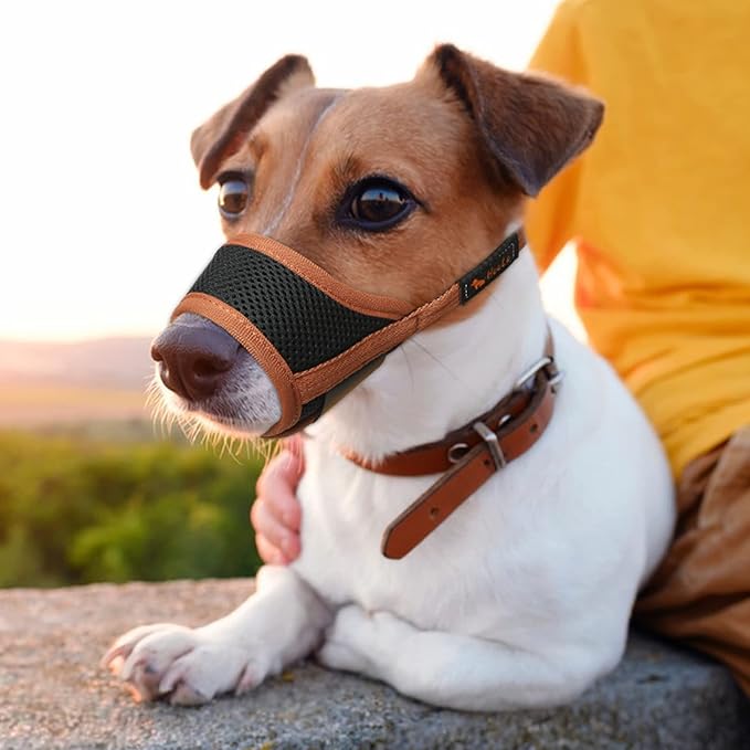 HEELE Dog Muzzle,Soft Nylon Muzzle Anti Biting Barking Chewing,Air Mesh Breathable Drinkable Adjustable Loop Pets Muzzle for Small Medium Large Dogs 4 Colors 4 Sizes (Brown, S)