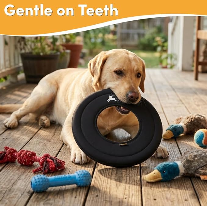 OllyDog Super Flyer, Floating Dog Disc for Water Play – Soft Durable Dog Fetch Toy, Eco-Friendly Recycled Material, Gentle on Teeth, Lightweight Flying Disc for Medium, Large Dogs (Raven, 11")