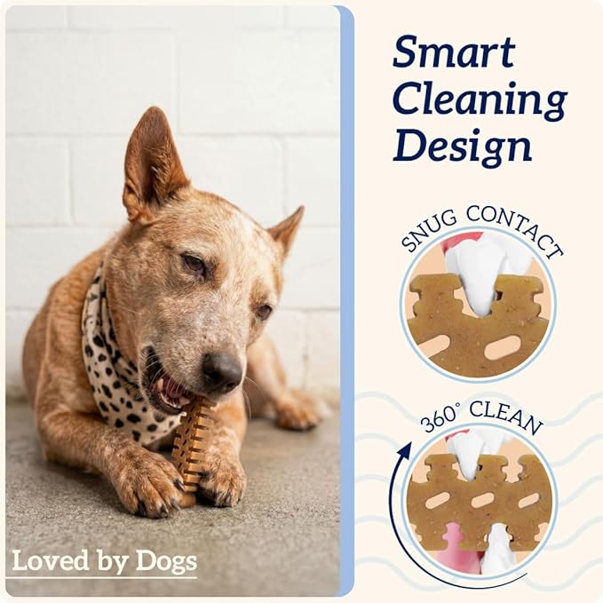 Groovies Senior Large Dog Dental Chews for Dogs, Patented DentalFit Technology for Plaque & Tartar Support, Flexible Texture for Easy Chewing, Chicken Flavor, USA Manufactured, 25–50 lb Dogs,12 Count