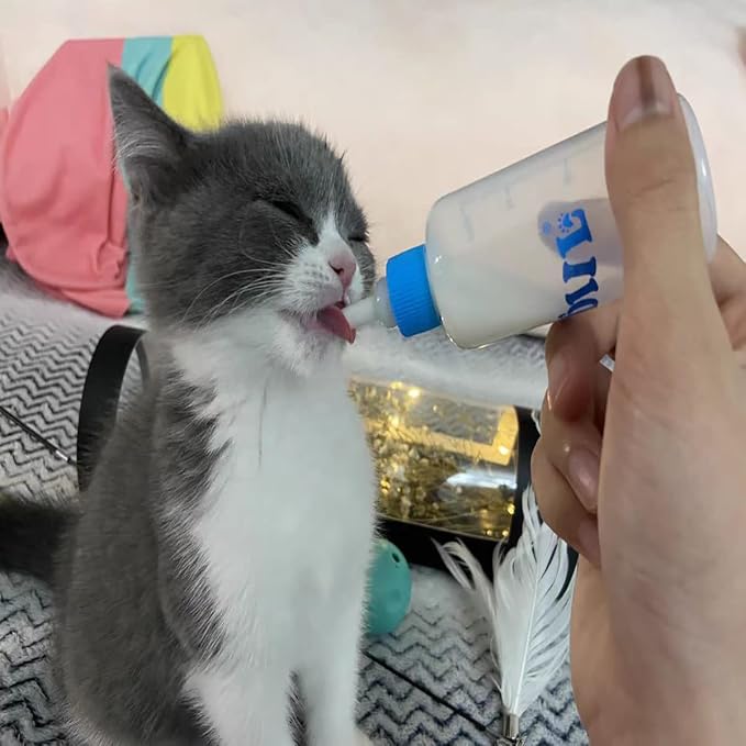 1pcs 60ml Pet Bottle with 4pcs Replacement Nipples and 1pcs Nipple Brush Can Be Used for Water Feeding Pet Feeding Tools.