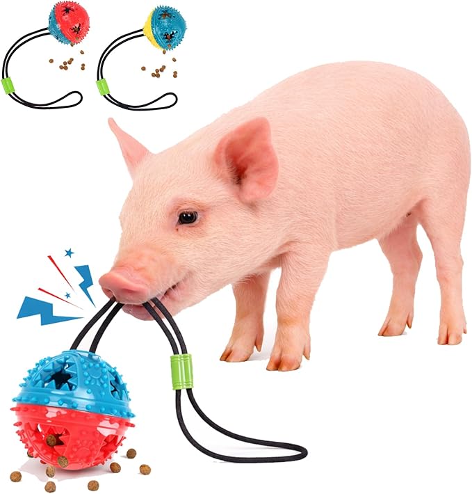 2Pcs Pig Enrichment Toys – Hanging Treat Ball for Pellets & Grains, Chew & Slow Feeder Toy with Rope for Mini Pigs