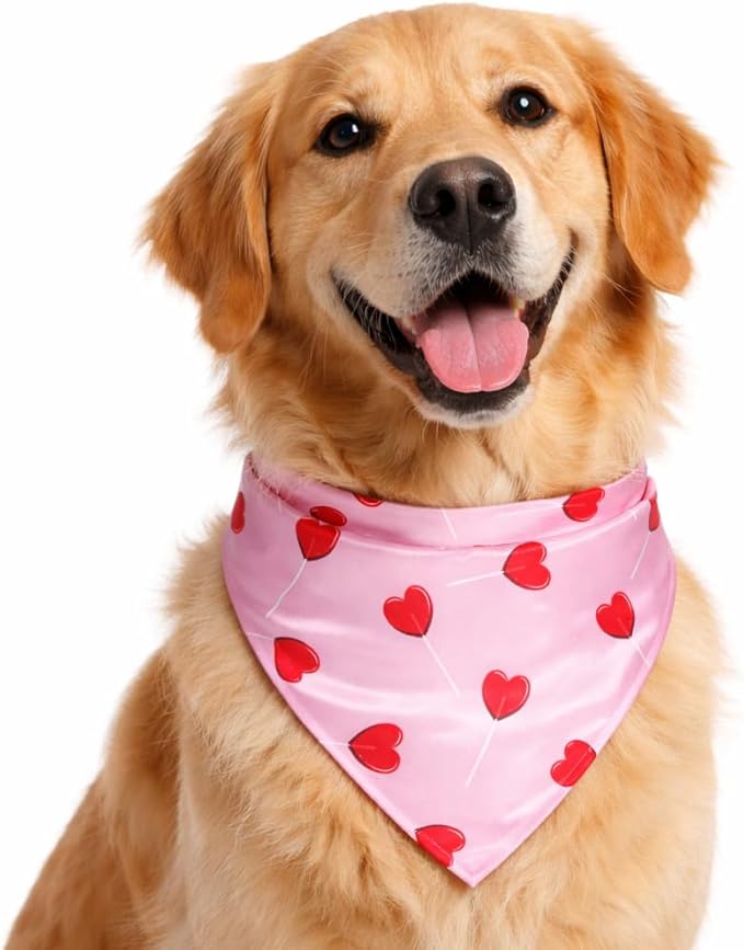 Luxury Satin Dog Bandana – Slip-On Collar Style, Premium Pet Scarf for Medium, Large & XL Dogs – Special Occasion Accessory (Collar Not Included) (Medium - Extra Large, Cupid Luxe - Satin)
