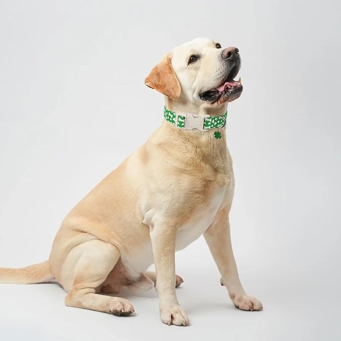 Lionet Paws St. Patrick Dog Collar- Cute Clover Bone Green Dog Collars with Plastic Buckle, Light Adjustable Dog Collars with Clover Pendant for Medium Dogs