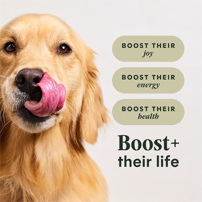 Instinct RawBoost Gut Health, Natural Dry Dog Food with Freeze-Dried Pieces, High Protein, Grain-Free Recipe - Real Chicken, 18 lb. Bag