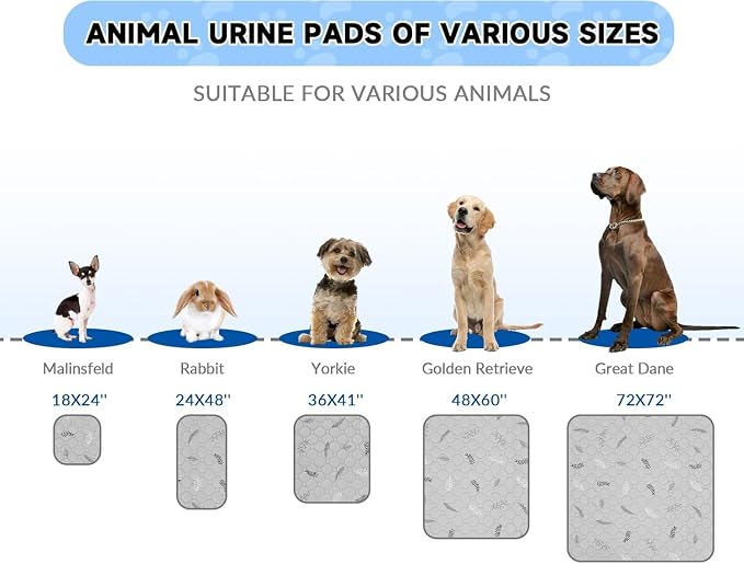 Sunheir Washable Pee Pads for Dogs Large 24" x 72" 2-Pack Reusable Puppy Pads Pet Training Pads, Absorb Dog Mats, Whelping Pad, Non-Slip Protects Against Urine Leakage, Runner Rug (Leaves - Sky Blue)