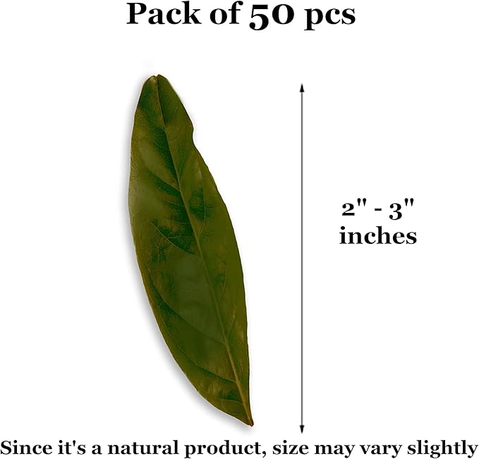 JOR Mahogany Leaves, Vivarium Leaf Litter for Frogs, Mixing with Substrate, Maintains Humidity and pH Levels, Creates Natural Bioactive Habitat, Additional Food (2” Small, 50 Pack, Mahogany Leaf)