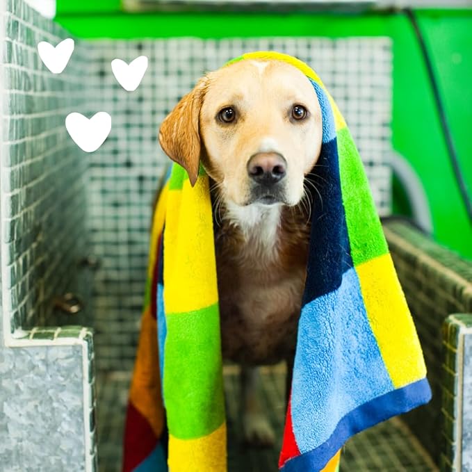 earthbath, Sweet Orange Dirty Dog Shampoo - Cruelty Free Dog Shampoo and Conditioner, Made in USA, Gentle Dog Wash, Best Puppy Shampoo & Puppy Supplies - 128 Oz (1 Pack)
