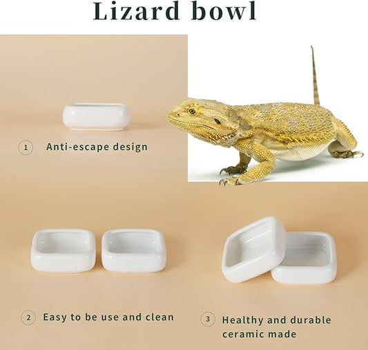 Reptile Food Bowls Ceramic Square Reptile Water Food Dish, Pet Food Bowl for Lizards, Young Bearded Dragons, Small Snakes, Gecko Tortoise Spider (White, Large-2Pack)