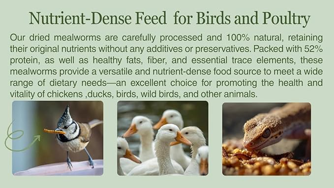 kimoe Non-GMO Bulk Dried Mealworms 10LB Bag for Chickens, Ducks & Wild Birds — 100% Natural High-Protein Feed to Boost Egg Production, Feather Health & Immunity