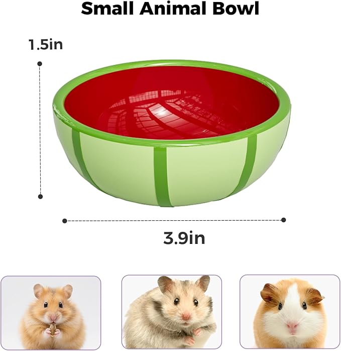 Hamster Food Bowl - Ceramic Guinea Pig Bowl Anti-Turning Small Pet Food Feeding Dish for Rabbit Rat Gerbil Mouse Chinchilla (Red)