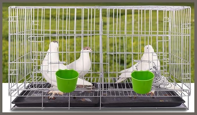 40 Pack Cage Cups Birds Feeders Seed Bowl Chicken Feeding Watering Dish Rabbit Water Food Hanging Wire Cages Box 8oz Coop Cups for Pet Parrot Parakeet Gamefowl Poultry Pigeon (Green)