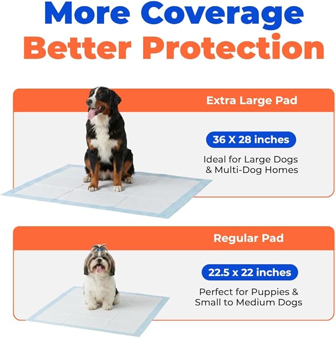 Best Pet Supplies XL (36 x 28 Inches) Puppy Pads 100 Count - Super Absorbent Dog Training Pads, Quick-Dry, Odor Control, Disposable Pee Pads, Leak-Proof Wee Wee Pads for Indoor Dogs – Baby Blue