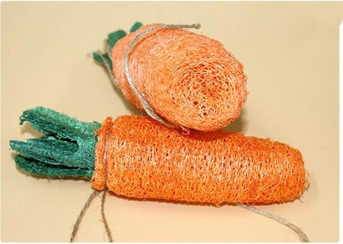 POPETPOP Rabbit Chew Toys - 2Pcs Carrot Shaped Hamster Toys Loofah Bunny Guinea Pig Bunny Chew Small Animal Chew for Chinchillas, Rat Teeth Cleaning