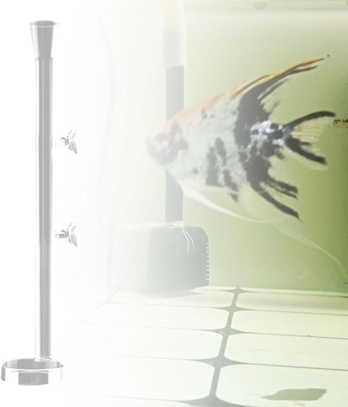 Aquarium Feeder Tube Glass Food Feeding Tube with Round Feeding Tray Fish Tank Shrimp Crab Feeding Accessories Prevents Waste Suitable for Household A, 35cm