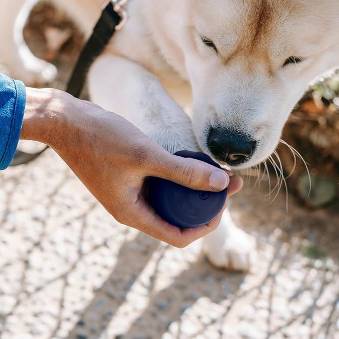 Single, Aesthetic Fetch & Play Dog Ball Toy with Beef Flavor and Squeaker, Natural Rubber/Latex, Medium Sized (2.5”) Neutral Colors (Blue)
