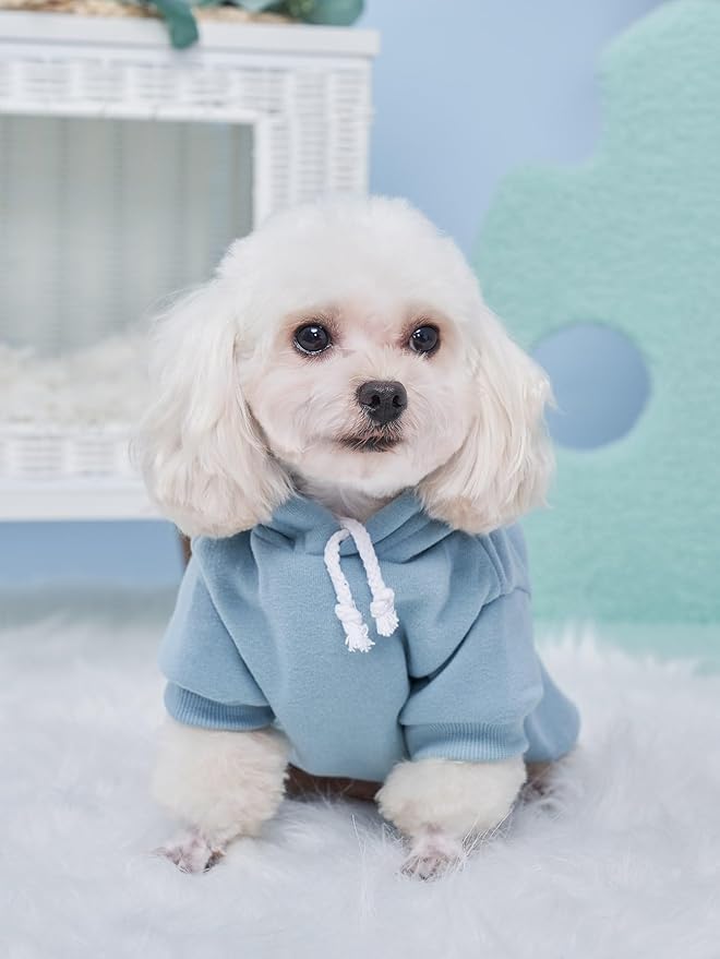 QWINEE Basic Dog Hoodie Sweatshirt Puppy Sweater Warm Cat Costumes Pet Clothes for Chihuahua Puppy Kitten Small Medium Dogs Pink and Green X-Large