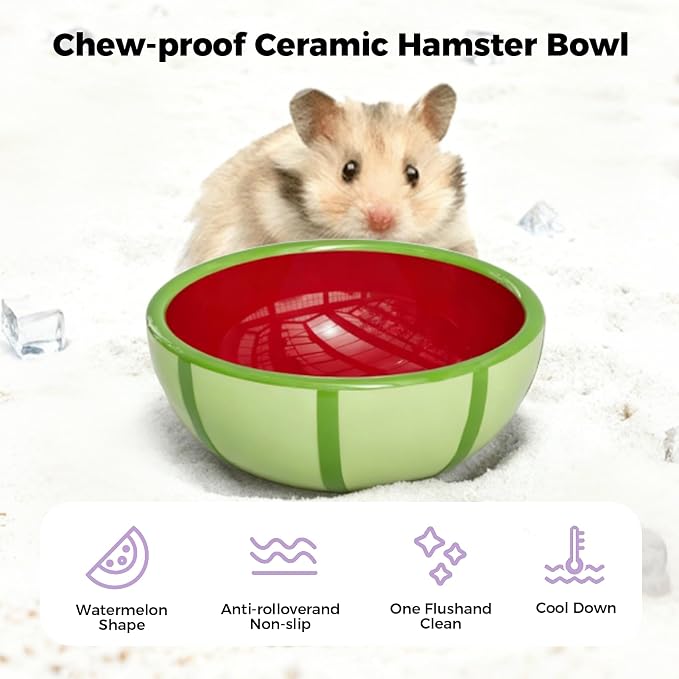 Hamster Food Bowl - Ceramic Guinea Pig Bowl Anti-Turning Small Pet Food Feeding Dish for Rabbit Rat Gerbil Mouse Chinchilla (Red)