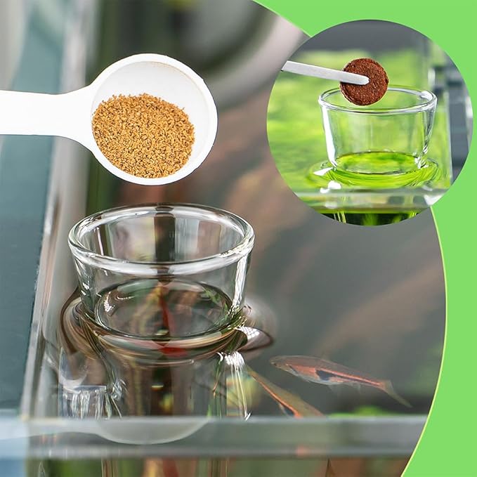 LINLAN 7.78 Inch Glass Shrimp Feeder, Aquarium Feeding Tube and Square Bowl with Two Suction Cups to Prevent Food from Spreading, for Crystal Shrimp and Cherry Shrimp