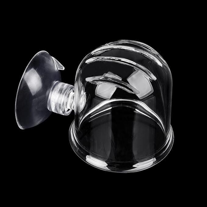 WEAVERBIRD Aquarium Glass Cone Feeder Red Worm Fish Tank Plant Shrimp Feeder Fish Feeding Cup
