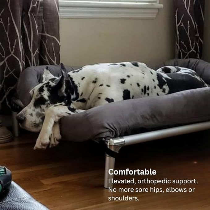 Kuranda Chewproof Elevated Dog Bed - Silver Aluminum - 40" x 25" - Heavy Duty Vinyl - Forest
