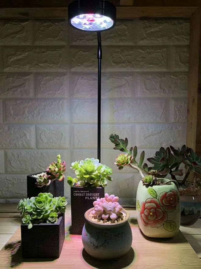 Full Spectrum LED Light with Bamboo Board, Fits Aquarium Nano Tank, Betta Fish Tank, Potted Plants, Succulents, Miniature Landscape – 9W