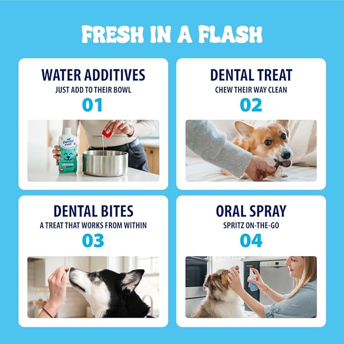 Dental Fresh Dental Treats for XS Dogs, Vet-Formulated Teeth Cleaning Dental Sticks to Help Reduce Plaque and Tartar and Freshen Breath, 64 Count Brush Free Dental Chews for Dogs up to 10 lbs