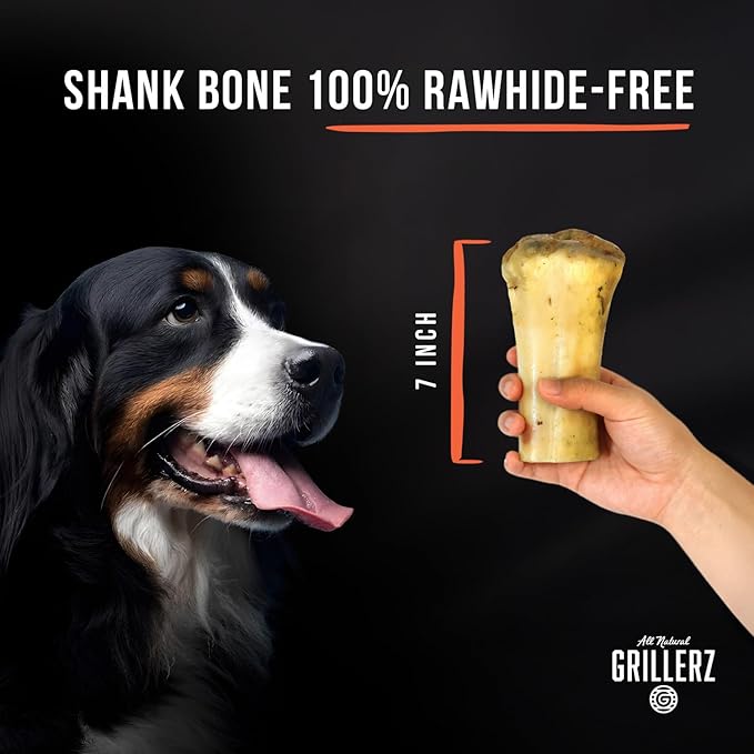 Grillerz 7 inch Small Shank Bone, Rawhide Free, All Natural Dog Treat for All Breeds, High Protein, Long Lasting, Easy to Digest, Dog Chew for Healthy Teeth