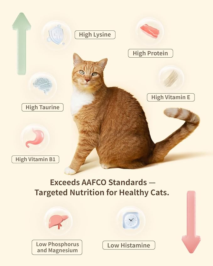 Cat Food - Freeze-Dried Food (Rabbit Receipe 400g) + Wet Canned Food (Beef Receipe 100g*6 Cans)
