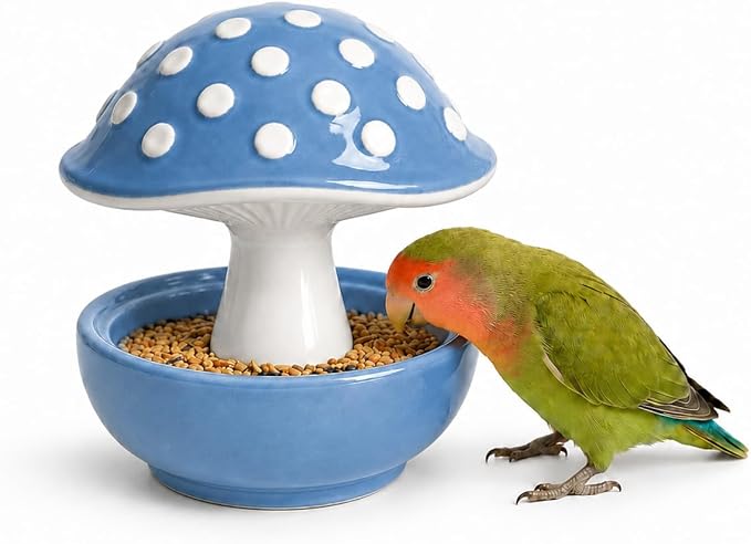 Cute Mushroom Ceramic Bird Water Dispenser & Seed Bowl, Premium Glazed Anti-Dust Feeding Dish for Small Parrots, Conures, Hamsters, Heavy Duty Cage Accessory