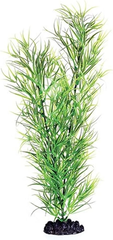 Underwater Treasures Green Diandra - 16"