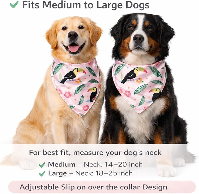 Luxury Satin Dog Bandana – Slip-On Collar Style, Premium Pet Scarf for Medium, Large & XL Dogs – Special Occasion Accessory (Collar Not Included) (Medium - Extra Large, Toucan (P) Luxe - Satin)