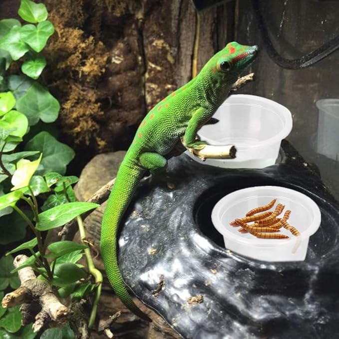 100Pcs Crested Gecko Food Dish, 0.5oz Plastic Reptile Feeding Cups