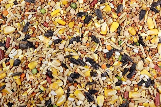 Chicken Feed, Whole Ingredient Chicken Treat, Wied Variety of Grains Poultry Feed (20 Pound (Pack of 1), Singer Mix)