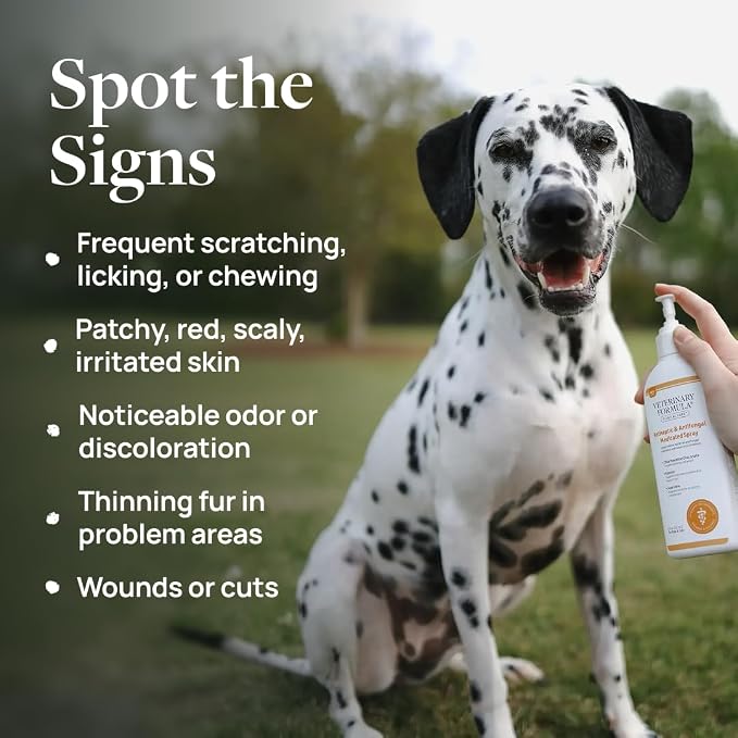 Veterinary Formula Clinical Care Antiseptic & Antifungal Medicated Shampoo and Spray for Dogs and Cats - Helps Alleviate Scaly, Greasy, or Red Skin - Paraben, Dye, and Soap Free, 2 Pack Bundle