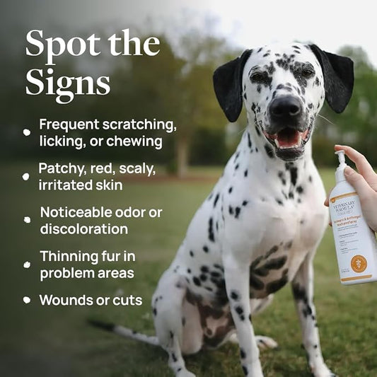 Veterinary Formula Clinical Care Antiseptic & Antifungal Medicated Shampoo and Spray for Dogs and Cats - Helps Alleviate Scaly, Greasy, or Red Skin - Paraben, Dye, and Soap Free, 2 Pack Bundle