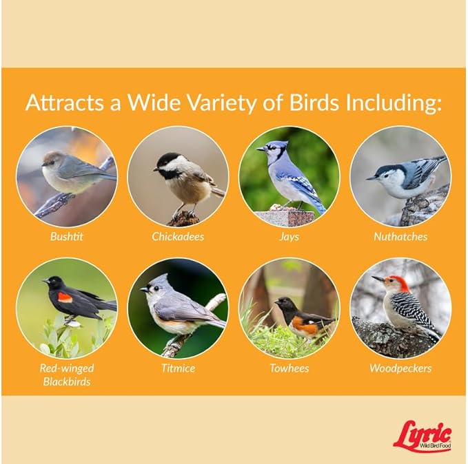 Lyric Chickadee Wild Bird Seed - Sunflower & Nut Premium Wild Bird Seed for Outside Feeders for Chickadees, Nuthatches & Titmice - 20 lb Bag