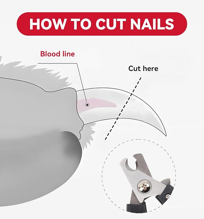 4.72 inch Dog Nail Clippers for Small Dogs, Ultra Sharp Stainless Cat Nail Clippers with Guard for Dogs, Cats, Rabbits and Guinea Pigs, Free Nail File(B Style)