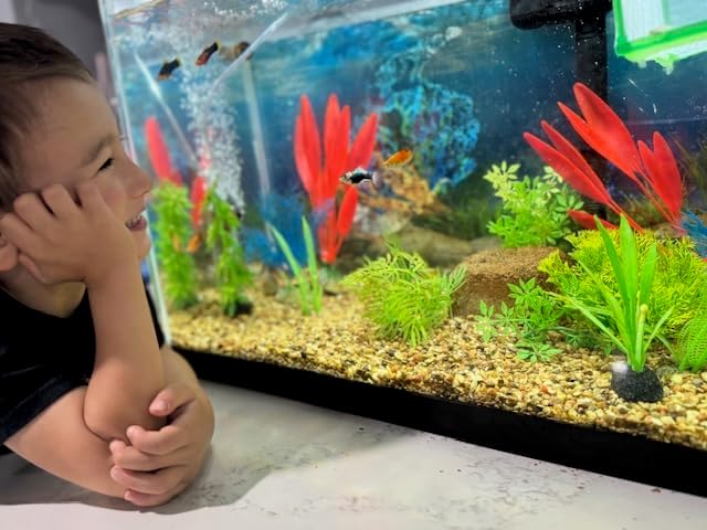 EcoBio-Block Natural Volcanic Rock for Aquarium Water Clarity & Balance — Low-Maintenance Alternative to Weekly Additives — for Freshwater Fish, Turtles, Shrimp & Frogs (Medium, 15-40 gal)