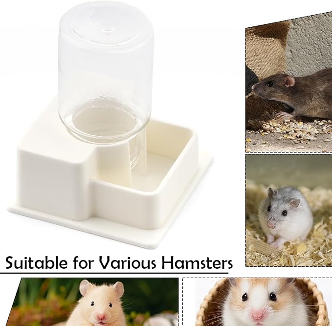 1 Pack Hamster Water Bowl Automatic Water Dispenser for Hamster Syrian Mice Gerbil Rodent (White)