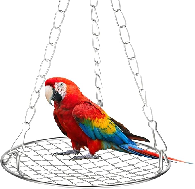 Bird Swing for Cage Stainless Steel Bird Swing Hanging Parakeet Swings Birds Cage Accessories to Balance Training Budgies Parrotlets Rat Sugar Gliders Small Animals