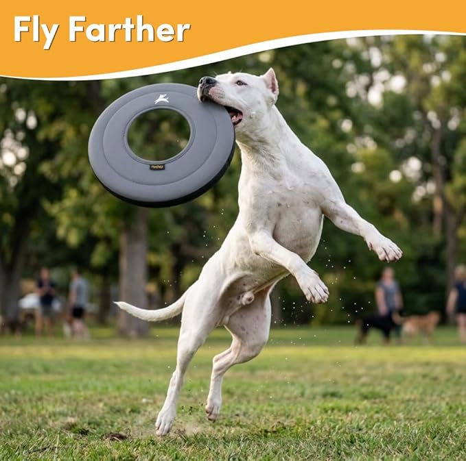 OllyDog Super Flyer, Floating Dog Disc for Water Play – Soft Durable Dog Fetch Toy, Eco-Friendly Recycled Material, Gentle on Teeth, Lightweight Flying Disc for Medium, Large Dogs (Castle Rock, 11")