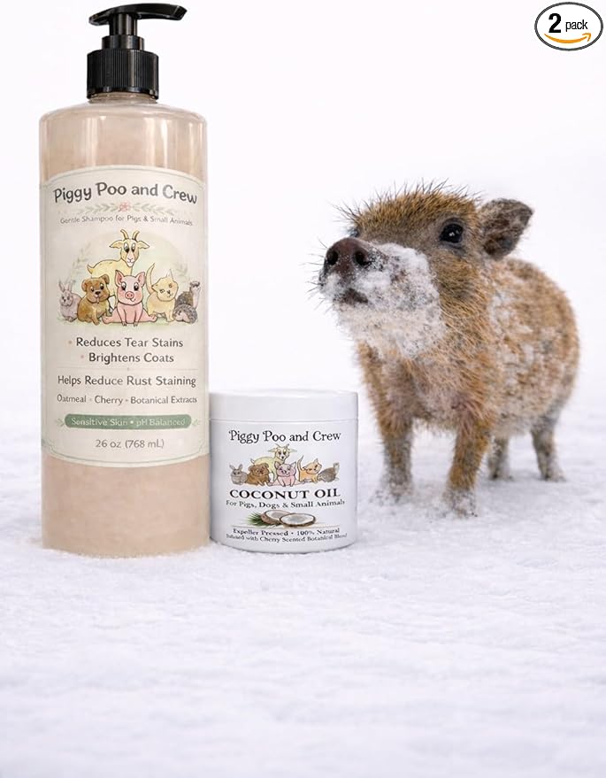 Piggy Poo and Crew Brightening Pet Shampoo and Coconut Oil Bundle, Oatmeal Cherry Scent, Gentle pH-Balanced, No Bleach, Peroxide or Alcohol for Pigs and Small Animals