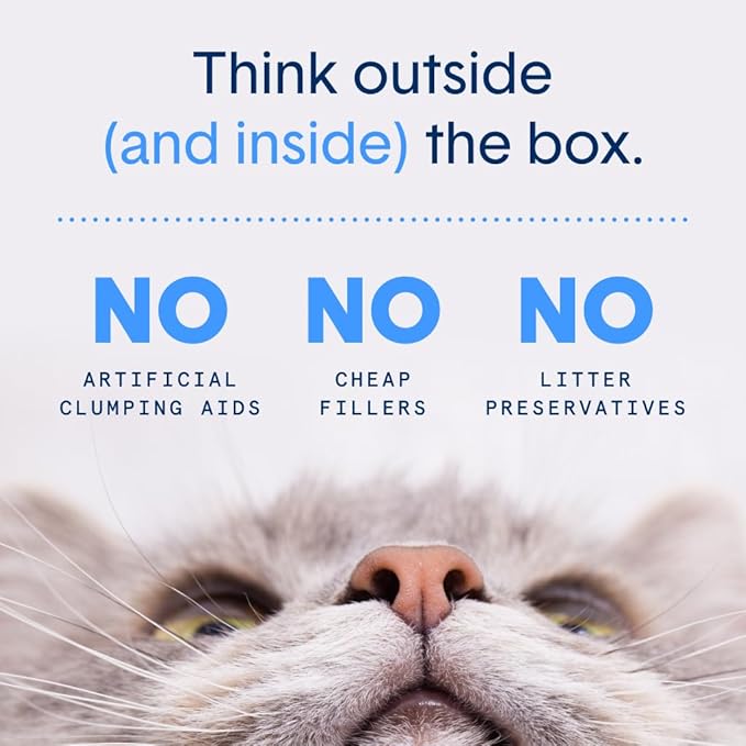 Boxie® Probiotic Unscented Crystal Cat Litter, 40-Day Odor Control, 18lb (3 Pack of 6lb Bags), Non-Clumping, Dust-Free, Lightweight