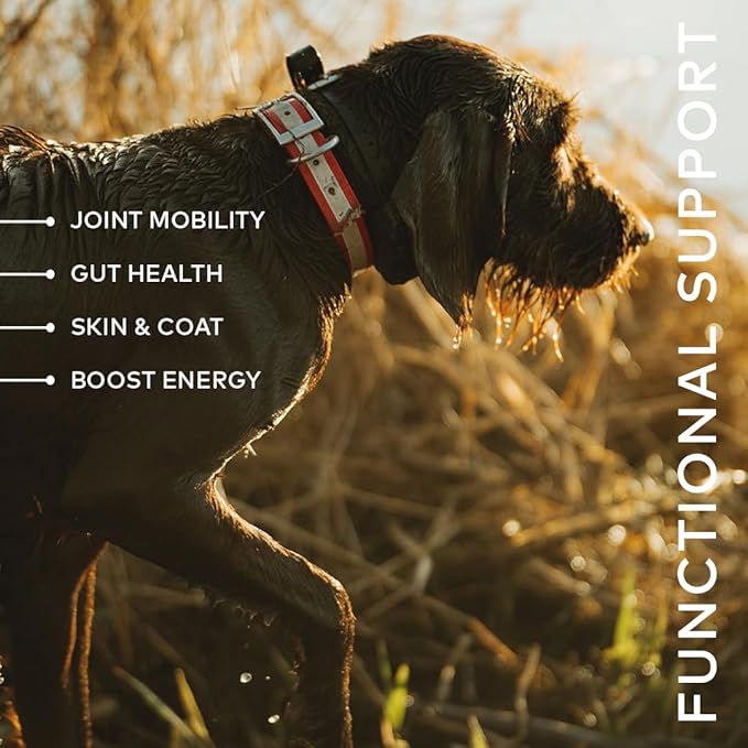 Beef Bone Broth Concentrate for Dogs - Collagen Protein Supplement - Digestion, Mobility, Coat, Immune System, Joints - Healthy Dog Food Gravy Topper - Human Grade, Made in USA (12 oz, 20 Servings)