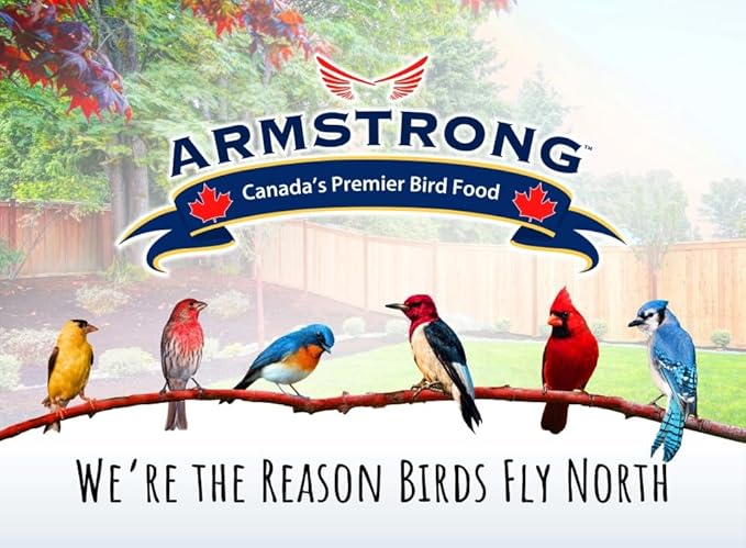 Armstrong Wild Bird Food Safflower Bird Seed, 20 Pounds - for Northern Cardinals, Rose-Breasted Grosbeaks and Black-Capped Chickadees - Ideal for Outside Feeders